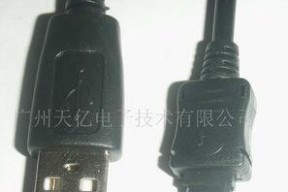 国产12p,引领科技潮流的创新之作